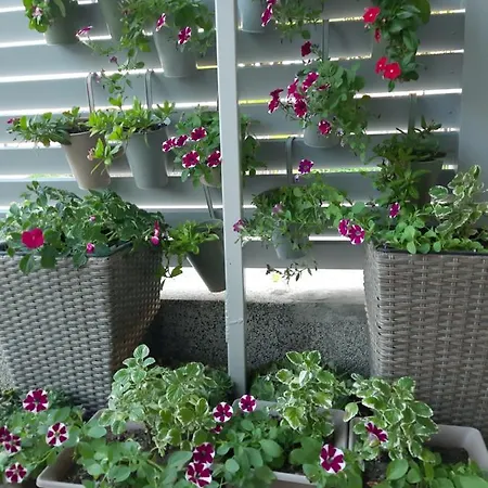 Apartman Jovanovic 2 * Bijeljina